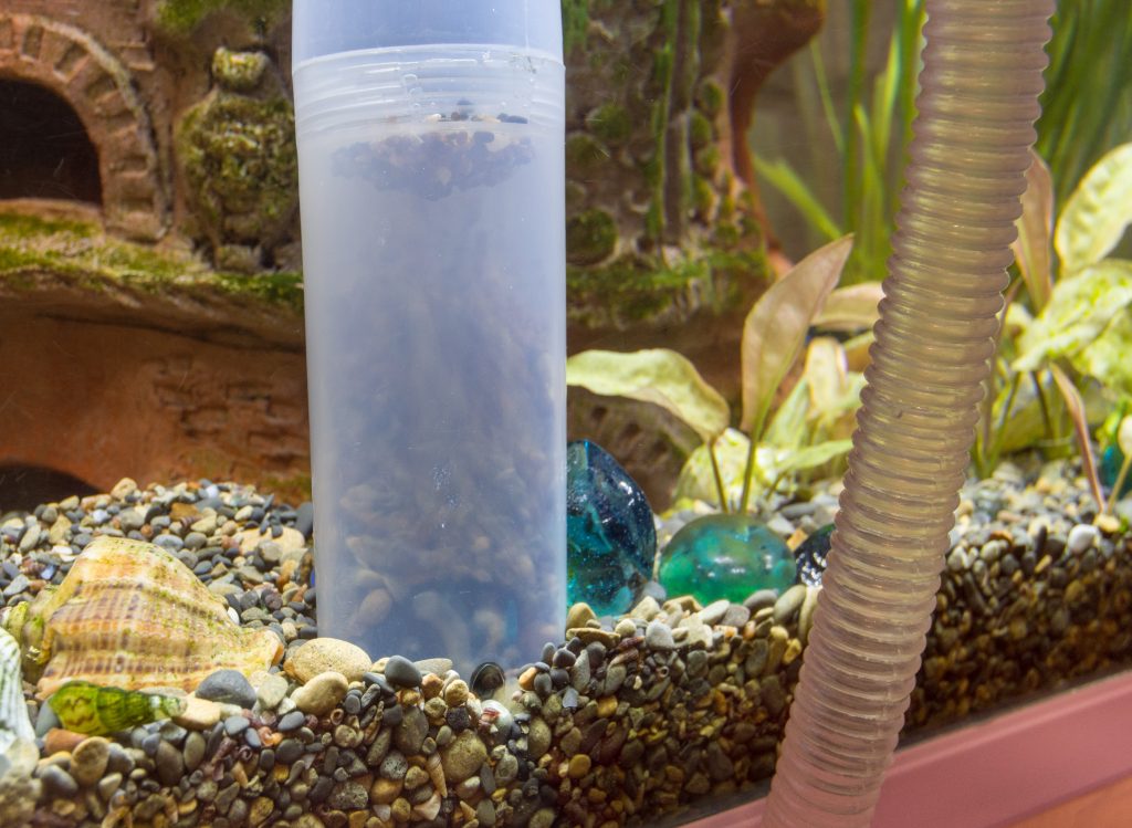 Common Problems from Having Too Many Nitrates in Your Aquarium and How to Avoid Them - CerMedia Porous Ceramic Structures